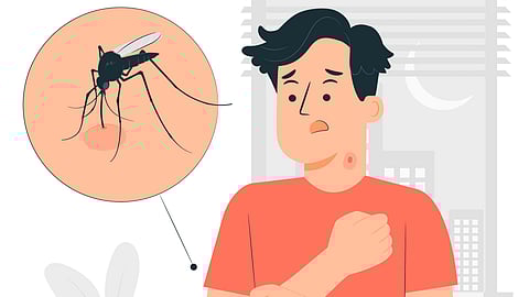 An illustration showing a mosquito and a man with mosquito bites.