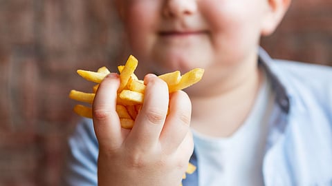 Close-up of up boy holding French fries