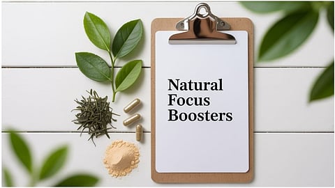 'Natural Focus Boosters' written on a white paper with green tea leaves, capsules, and herbal powder on a white table.