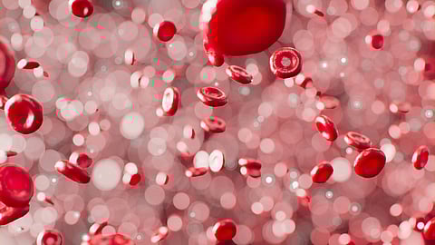Red Blood Cells