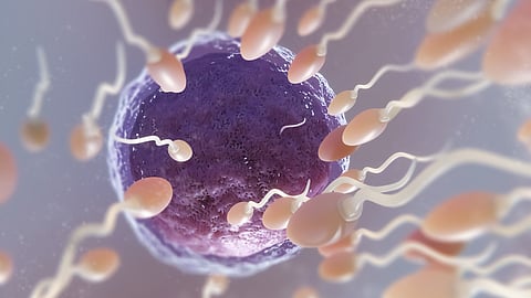 Beautiful fertility concept in 3d rendering