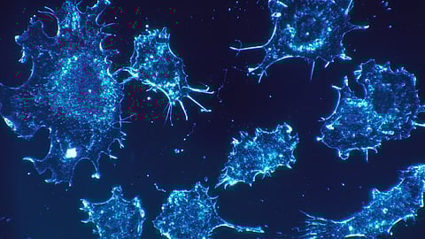 Image depicting cancer cells illuminated against a dark background, emphasizing their distinct morphology and behavior.