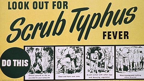 A Scrub Typhus poster