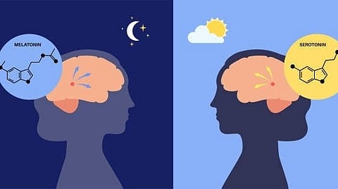 Diagram comparing melatonin (night) and serotonin (day) in the brain, illustrating their roles in sleep.