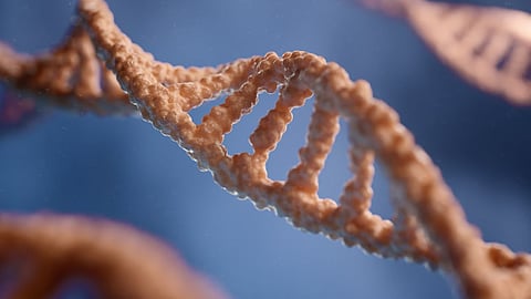 A close up of a single strand of DNA