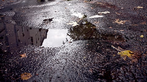 A puddle of water in a street pothole, surrounded by fallen leaves reflecting the sky above.