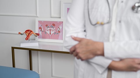 A doctor's office showing a model of female reproductive system.