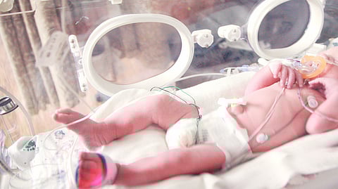  A newborn baby in an incubator, peacefully sucking on a pacifier, surrounded by medical equipment.