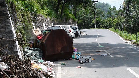 A garbage bin is placed beside a road, surrounded by grass and pavement, representing the area in Aarey Milk Colony.
