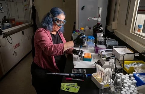 A women doing research in her lab