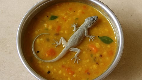 A bowl of Sambhar containing a dead lizard.
