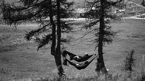 two people sleeping peacefully on the swing
