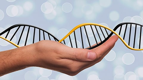 A human hand supporting a black and yellow DNA double helix on a grey background