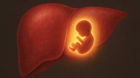 A fetus visualized in the liver, representing a rare ectopic pregnancy.