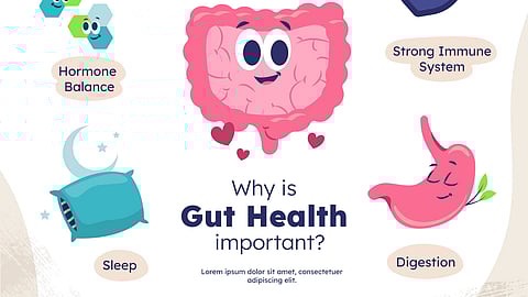 An illustration about the importance of gut health.