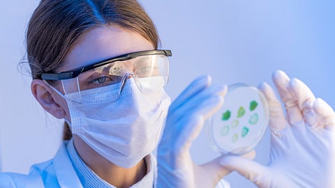 Image depicting a scientist wearing protective gear examining a petri dish.