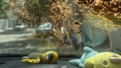 Image depicting car's windshield damaged with cracks and splattered mud, with soft toys on the dashboard.