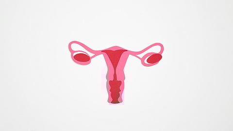 picture of healthy ovaries 