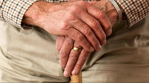 hands of an elderly man holding stick
