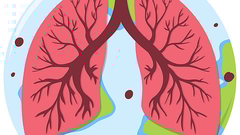 Image of graphics of lungs on a globe representing World Lung Day.