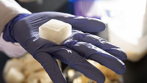 A person wearing blue gloves has a block of jellly ice in their hand.