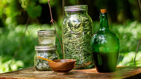An image of ayurvedic substances kept in jars on a table.