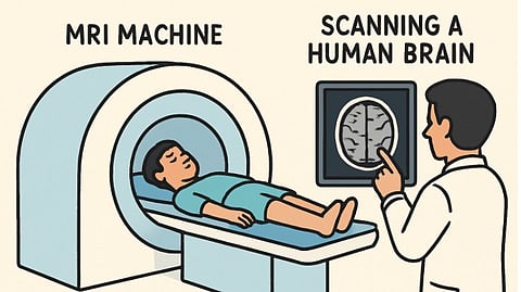 A diagrammatical representation of MRI machine and its use.