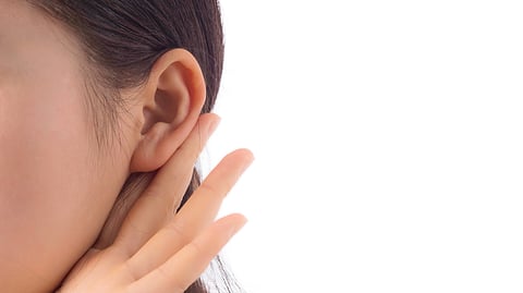 Recent research has revealed that small ear muscles in the human ear, once thought to be vestigial, become active when people focus intently on sounds.