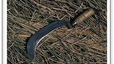 An Indian machete kept on hay. 