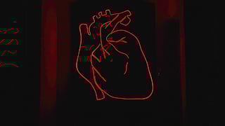 A picture of healthy human heart with red outlines and black background.