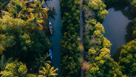 Aerial view of a winding river bordered by lush green trees