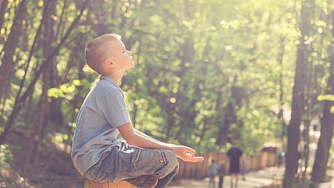 A young boy sitting on a wooden post surrounded by trees in a serene forest setting.