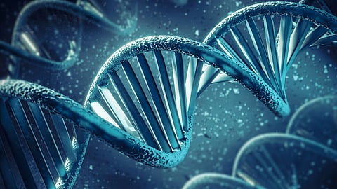 The unique "Gwada Negative" blood type results from a mutation in the PIGZ gene, which affects the anchoring of proteins on the surface of red blood cells.