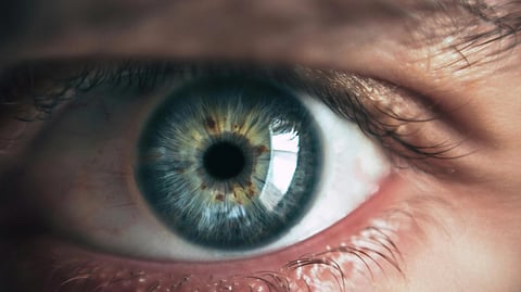 Close-up image of a greenish colored eye.