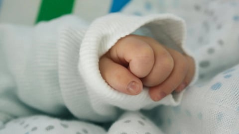 An image of a baby's hand.