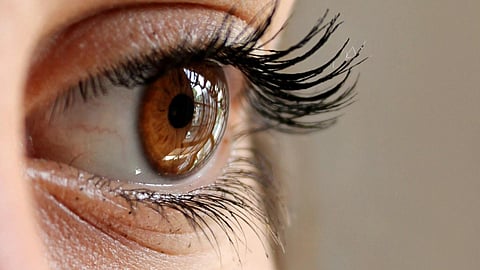 Close-up image of a woman's eye which is brown in color.