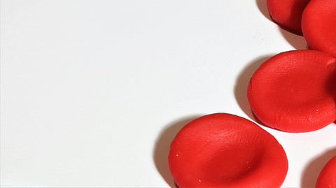 Image depicting red cells in front of a white background.