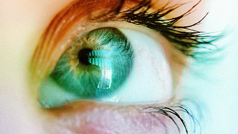 Close-up image of an eye of a person wearing contact lenses for Halloween.