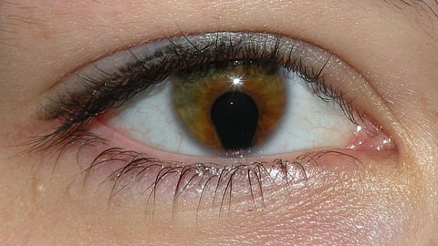 A close-up shot of an iris with a keyhole pupil.
