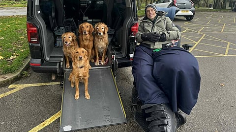 An image of Mandy Sellars with 4 golden retrievers' dogs. 