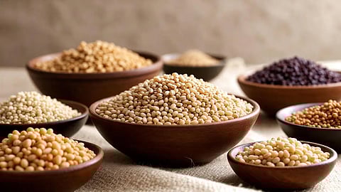 An image of ragi and jowar grains in bowl.