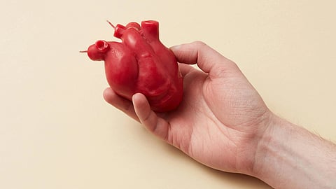 An image of human heart.