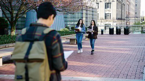 Two students walking side by side on a brick walkway, surrounded by greenery and campus buildings.