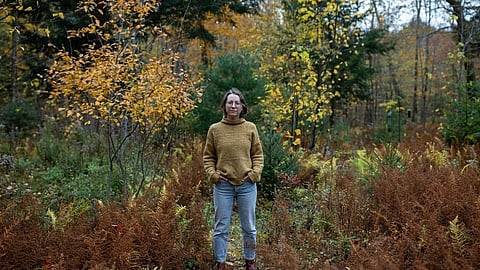 A woman stands amidst lush ferns and trees in a serene field, surrounded by nature's greenery.