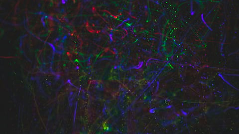 A dark background illuminated by vibrant, colorful lights creating a festive atmosphere.