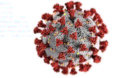 An image of virus with a textured gray surface and red spike proteins protruding outward