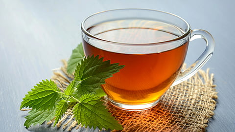 Image of a cup of tea with fresh mint leaves on a table.