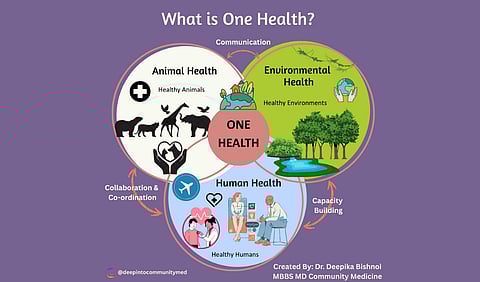 Infographic explaining the One Health concept with three overlapping circles labeled Animal Health, Human Health, and Environmental Health.