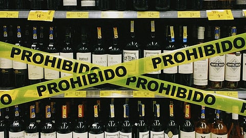A row of assorted wine bottles neatly arranged on a wooden shelf.