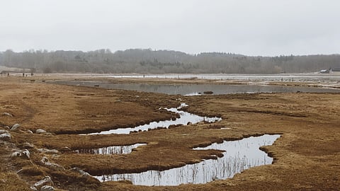 Image of a scene of river side.